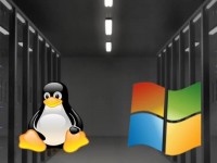 Linux y Windows